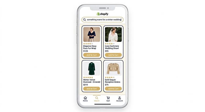 Natural language understanding interpreting shopper intent in a Shopify search bar